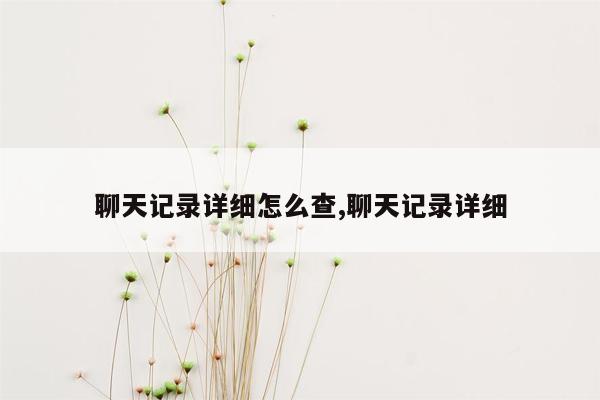 聊天记录详细怎么查,聊天记录详细