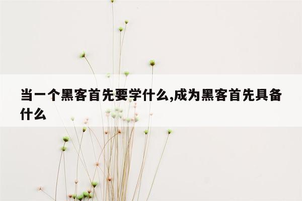 当一个黑客首先要学什么,成为黑客首先具备什么