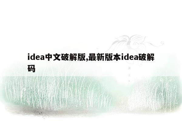 idea中文破解版,最新版本idea破解码