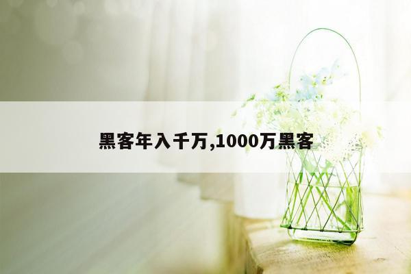 黑客年入千万,1000万黑客