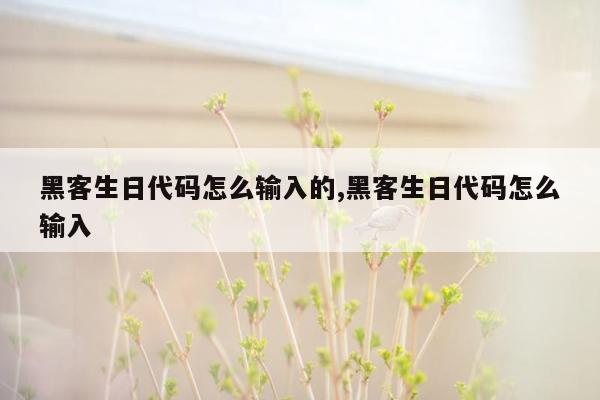 黑客生日代码怎么输入的,黑客生日代码怎么输入