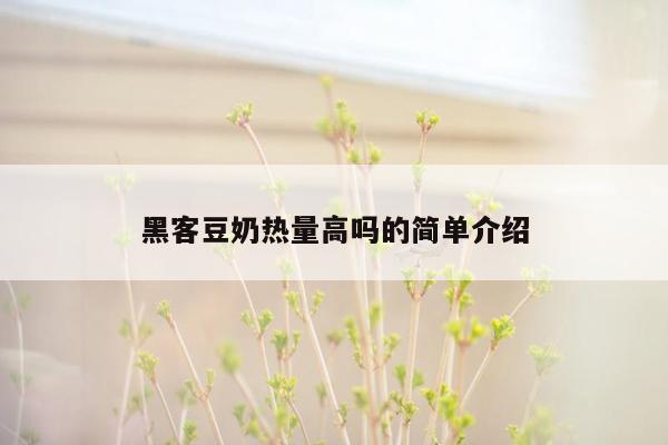 黑客豆奶热量高吗的简单介绍