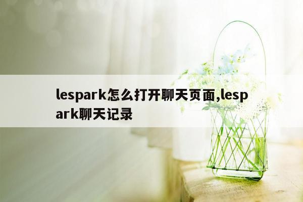 lespark怎么打开聊天页面,lespark聊天记录