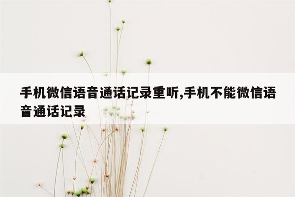 手机微信语音通话记录重听,手机不能微信语音通话记录