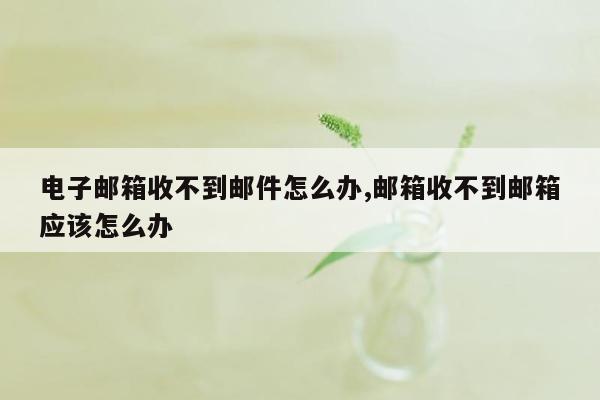 电子邮箱收不到邮件怎么办,邮箱收不到邮箱应该怎么办