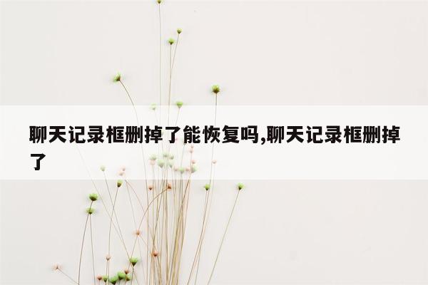 聊天记录框删掉了能恢复吗,聊天记录框删掉了