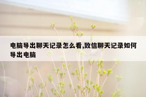 电脑导出聊天记录怎么看,致信聊天记录如何导出电脑