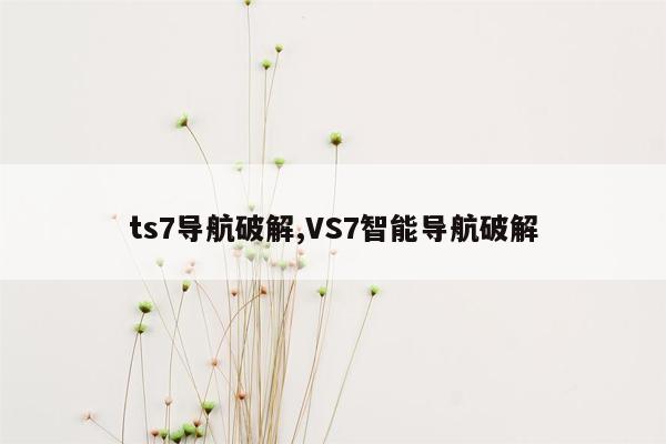 ts7导航破解,VS7智能导航破解