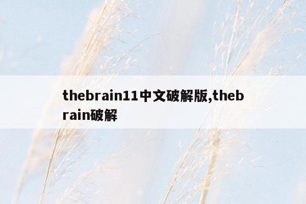 thebrain11中文破解版,thebrain破解