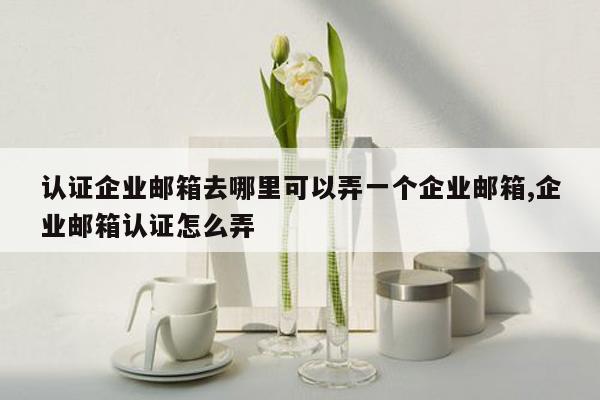 认证企业邮箱去哪里可以弄一个企业邮箱,企业邮箱认证怎么弄