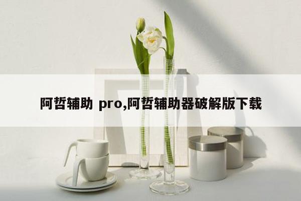 阿哲辅助 pro,阿哲辅助器破解版下载