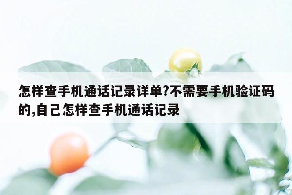 怎样查手机通话记录详单?不需要手机验证码的,自己怎样查手机通话记录