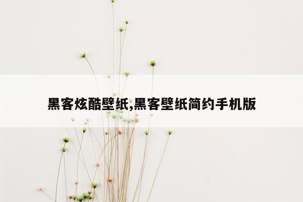 黑客炫酷壁纸,黑客壁纸简约手机版