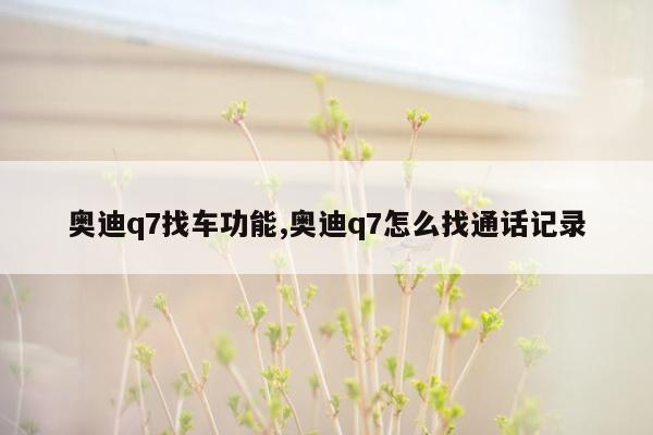 奥迪q7找车功能,奥迪q7怎么找通话记录