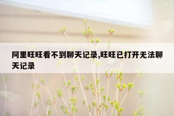 阿里旺旺看不到聊天记录,旺旺已打开无法聊天记录