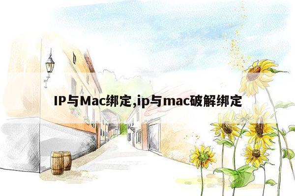 IP与Mac绑定,ip与mac破解绑定