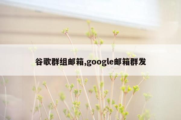 谷歌群组邮箱,google邮箱群发