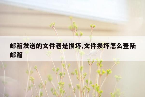 邮箱发送的文件老是损坏,文件损坏怎么登陆邮箱