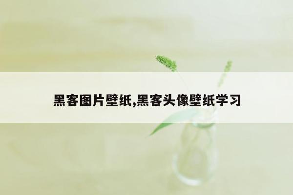 黑客图片壁纸,黑客头像壁纸学习