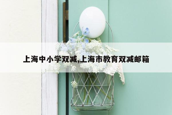 上海中小学双减,上海市教育双减邮箱