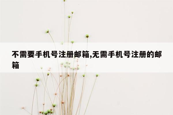 不需要手机号注册邮箱,无需手机号注册的邮箱