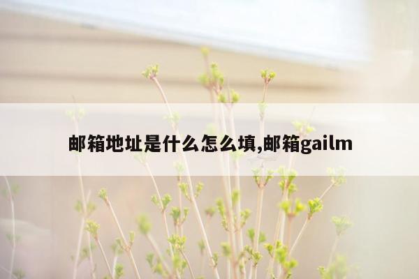 邮箱地址是什么怎么填,邮箱gailm