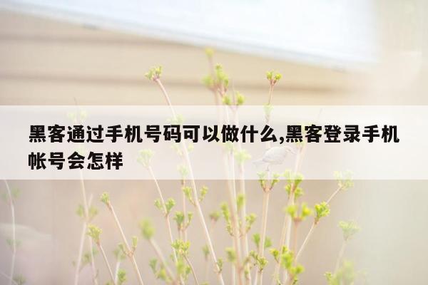 黑客通过手机号码可以做什么,黑客登录手机帐号会怎样