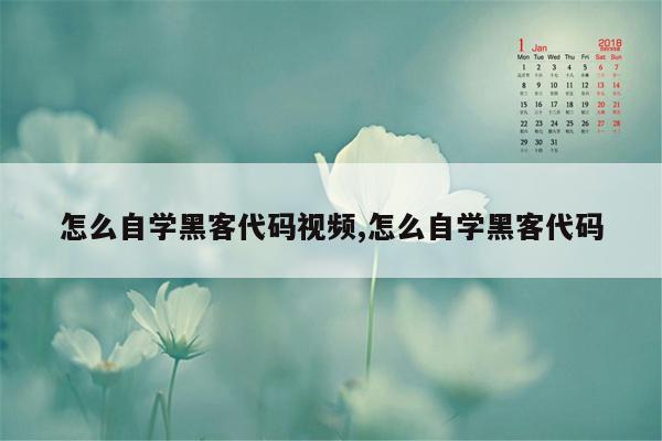 怎么自学黑客代码视频,怎么自学黑客代码