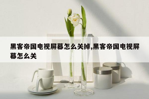 黑客帝国电视屏幕怎么关掉,黑客帝国电视屏幕怎么关