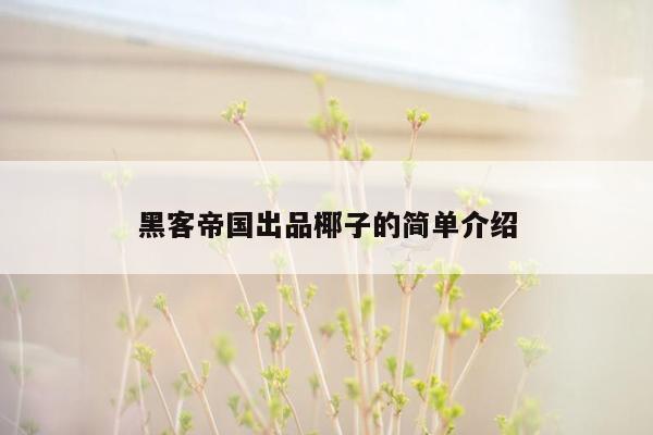 黑客帝国出品椰子的简单介绍