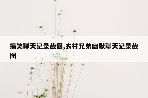 搞笑聊天记录截图,农村兄弟幽默聊天记录截图