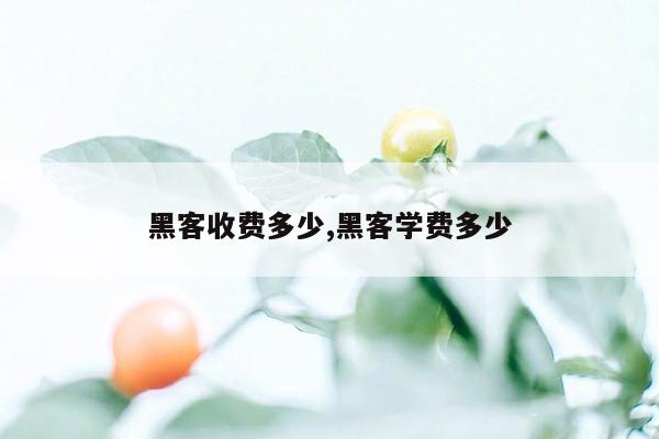 黑客收费多少,黑客学费多少