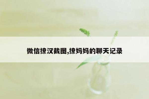 微信撩汉截图,撩妈妈的聊天记录