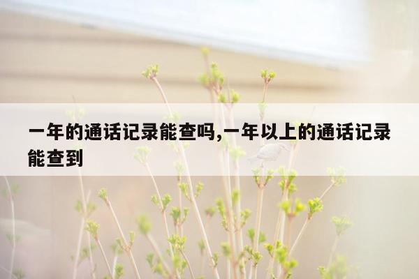 一年的通话记录能查吗,一年以上的通话记录能查到