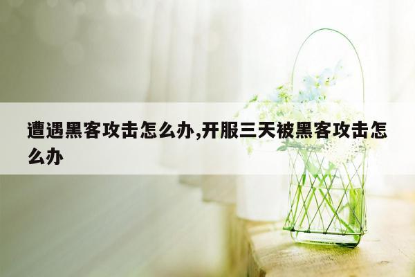 遭遇黑客攻击怎么办,开服三天被黑客攻击怎么办