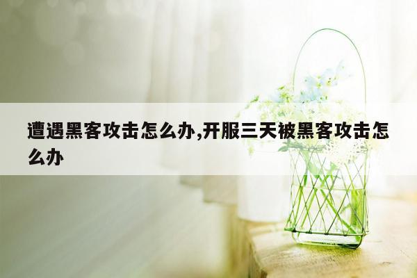 遭遇黑客攻击怎么办,开服三天被黑客攻击怎么办