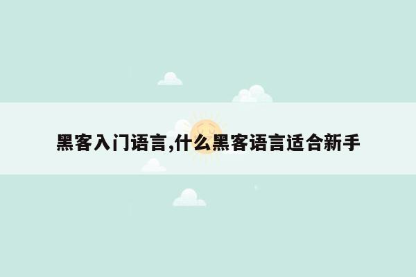 黑客入门语言,什么黑客语言适合新手