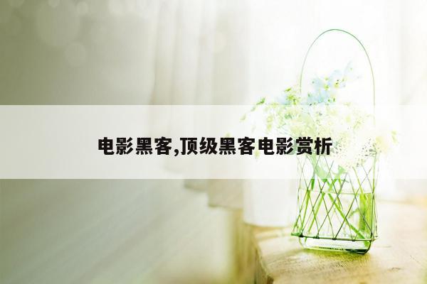 电影黑客,顶级黑客电影赏析