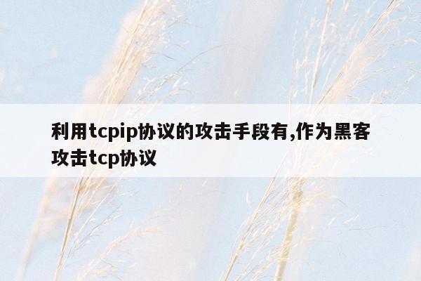 利用tcpip协议的攻击手段有,作为黑客攻击tcp协议