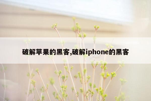 破解苹果的黑客,破解iphone的黑客