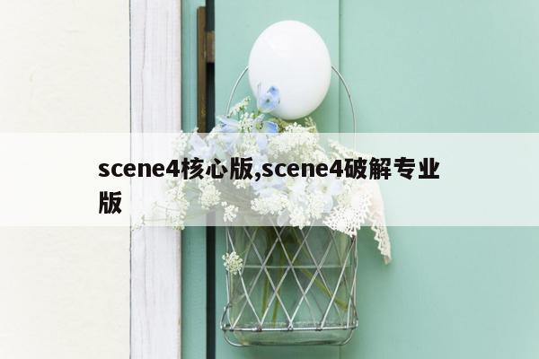 scene4核心版,scene4破解专业版