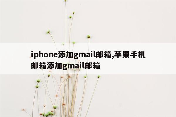 iphone添加gmail邮箱,苹果手机邮箱添加gmail邮箱