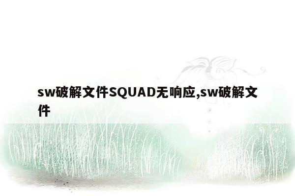 sw破解文件SQUAD无响应,sw破解文件