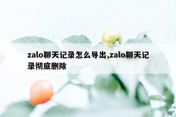 zalo聊天记录怎么导出,zalo聊天记录彻底删除