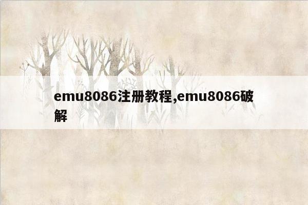 emu8086注册教程,emu8086破解