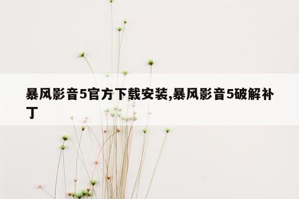 暴风影音5官方下载安装,暴风影音5破解补丁