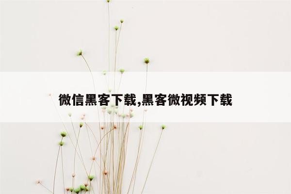 微信黑客下载,黑客微视频下载