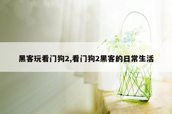 黑客玩看门狗2,看门狗2黑客的日常生活