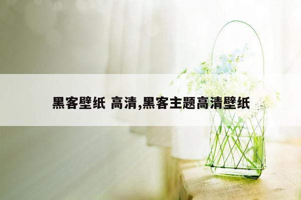 黑客壁纸 高清,黑客主题高清壁纸