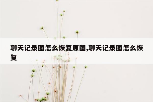 聊天记录图怎么恢复原图,聊天记录图怎么恢复